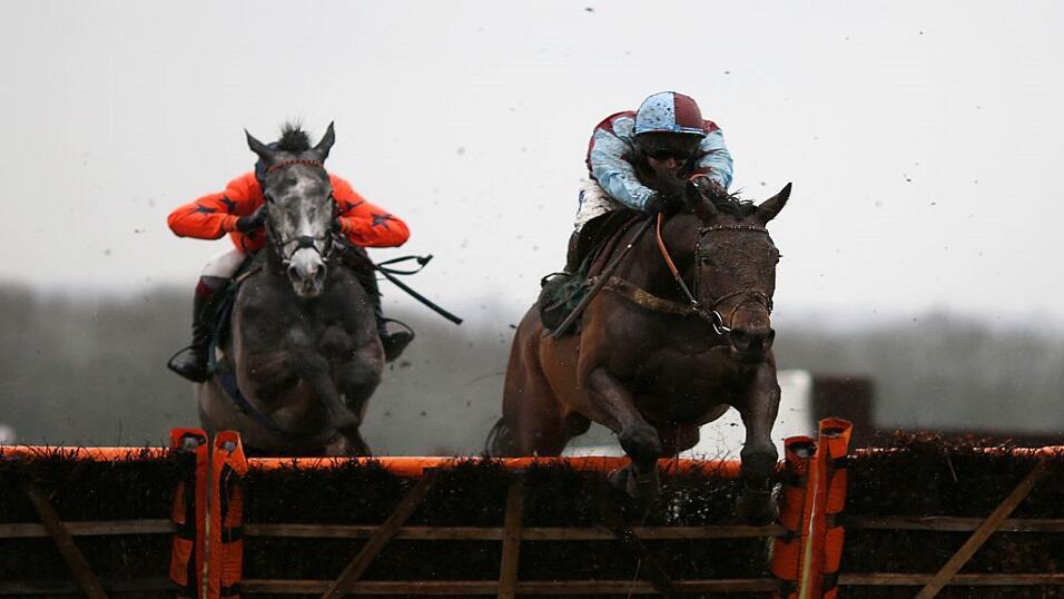 Horses hurdling
